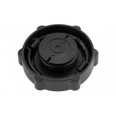 Bouchon d'huile de Direction Assistée Pour Focus Tourneo Transit 97BG3A006BA