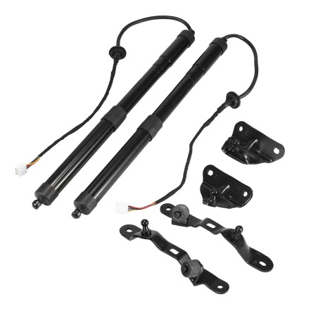 x2 Vérin Hayon de Coffre Gauche+Droit Pour Toyota Rav 4 IV 2012-2018 6891009010