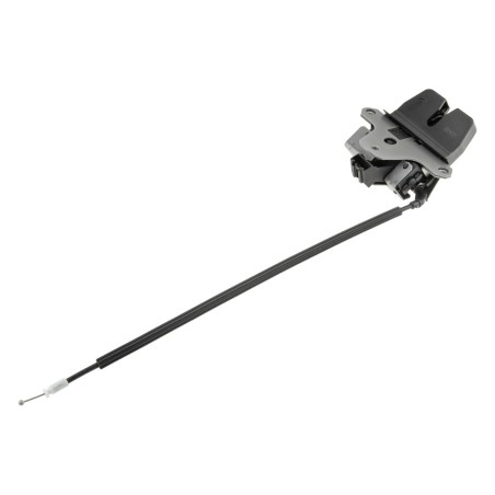 Bloc Serrure de Coffre Pour Land Rover Range Rover Evoque LR025420