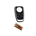 Commande de Radio Original TomTom Pour Renault Clio III Kangoo II 253B09995R