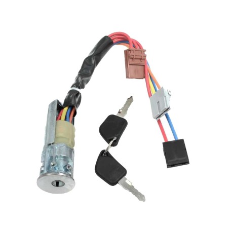 Neiman Antivol de Direction Pour Peugeot 405 II 505 416295 4162N0