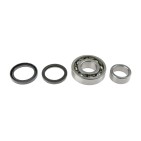 Roulement de Roue Arrière Pour Suzuki VI tara X-90 926935010