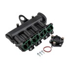 Collecteur d'Admission Pour Fiat Doblo Fiorino Punto Lancia Ypsilon 55213267