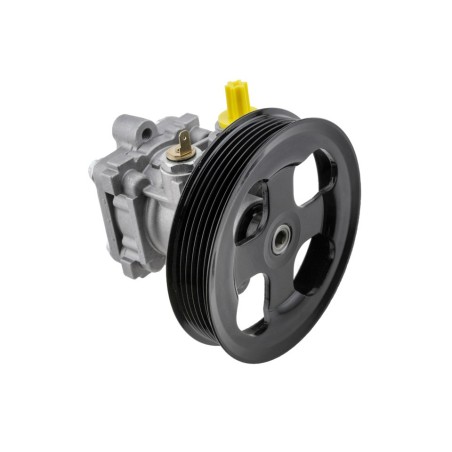 Pompe de Direction Assistée Pour Mitsubishi Outlander I 2002-2006 MN100472