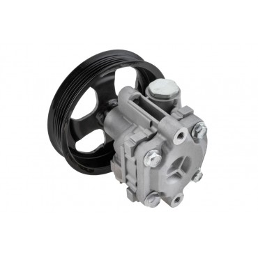 Pompe de Direction Assistée Pour Mitsubishi Outlander I 2002-2006 MN100472