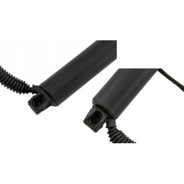 x2 Vérin Hayon de Coffre Gauche+Droit Ressort electrique Pour Bmw 3 51247340976