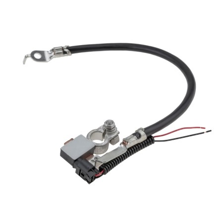 Câble de Batterie Pour Ford C-Max II Focus III Grand C-Max 1797770 AV6N10C679BC