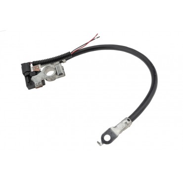 Câble de Batterie Pour Ford C-Max II Focus III Grand C-Max 1797770 AV6N10C679BC