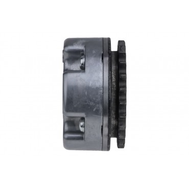Poulie déphasage Arbre à Cames Pour Audi A4 A6 Allroad A8 06E109084G