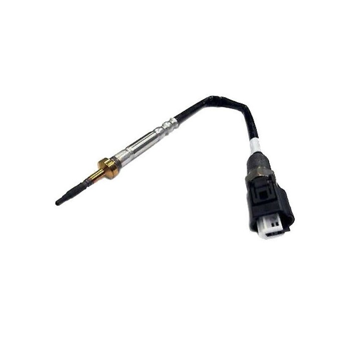 Sonde température gaz BMW 1 3 5 7 X3 X5 E53 E83 E65 E66 E67 E60 E61 13627794723
