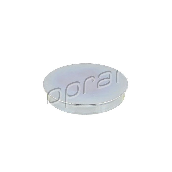 Capuchon Moyeu de Roue Pour Audi A1 A2 A3 A4 Q2 Q3 Tt Seat Toledo 1J0501249C
