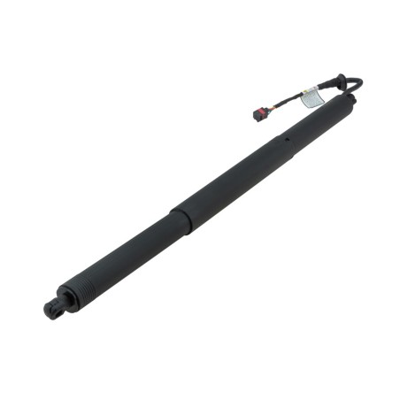 Vérin Hayon de Coffre Pour Audi Q8 2018-2020 4M8827851D