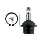 Rotule de Suspension Avant Inférieur Pour Ford Usa Expedition F-150 7L1Z3078A