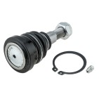 Rotule de Suspension Avant Inférieur Pour Mitsubishi Eclipse Galant Ix MN161705