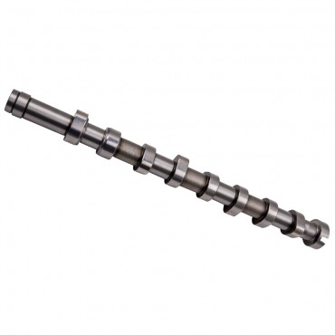 Arbre à Cames Pour Citroën Berlingo C3 C4 C5 Transit S-Max Mondeo V 0801FC