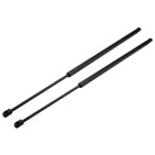 x2 Vérin Hayon de Coffre Gauche+Droit Pour Ord Kuga 1790926 CV44-S406A10-AD