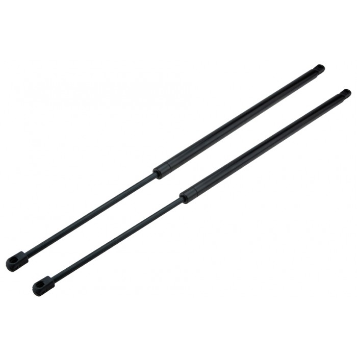 x2 Vérin Hayon de Coffre Gauche+Droit Pour Ord Kuga 1790926 CV44-S406A10-AD