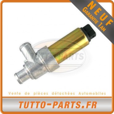 Vanne Ralenti Audi 80 Seat