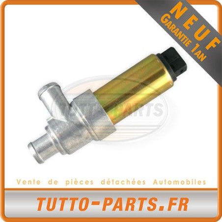Vanne Ralenti Audi 80 Seat