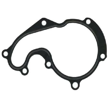 Joint d'étanchéité Pompe à Eau Pour Ford Fiesta IV Focus C-Max Galaxy II 1113213