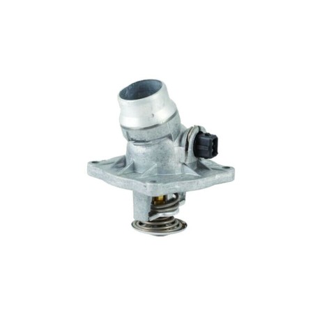 Thermostat d'eau BMW Serie 5 E39 7 E38 X5 E53 1436386 11531436386