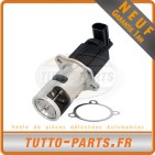 Vanne EGR Nissan Primera Renault Megane