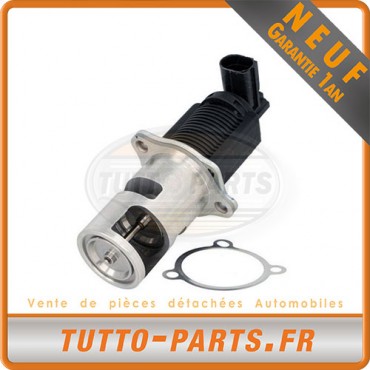 Vanne EGR Nissan Primera Renault Megane