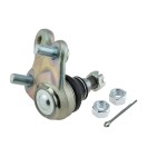 Rotule de Suspension Avant Droite Pour Honda Cr-V III 51220SWAA01