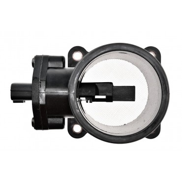 Sonde Debitmetre d'Air Pour Nissan Almera II Tino Primera 1.8 226805U400