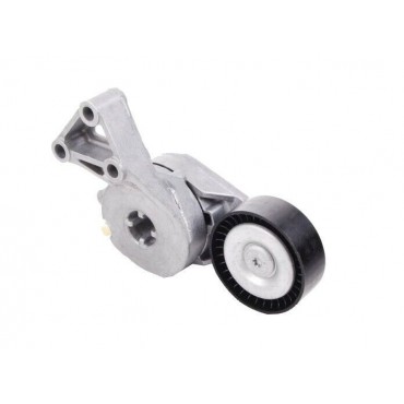 Galet Tendeur de courroie d'accessoire A3 TT Alhambra Fabia Beetle 06A903315E