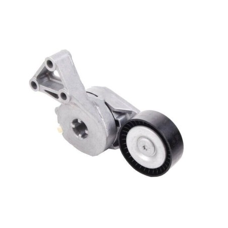 Galet Tendeur de courroie d'accessoire A3 TT Alhambra Fabia Beetle 06A903315E