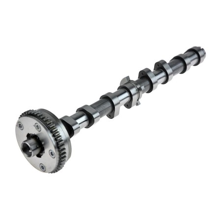 Arbre à Cames d'Admission Pour Audi A3 A4 A5 A6 C7 A8 Seat Toledo 06H109021