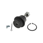 Rotule de Suspension Avant Inférieur Pour Dodge Ram 1500 281914
