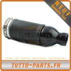 Amortisseur Avant Audi A6 Allroad