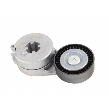Galet Tendeur de courroie d'accessoire Audi A4 A5 Q5 Exeo Amarok 2HA 06H903133G