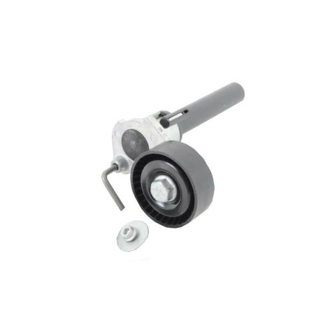 Galet Tendeur de courroie d'accessoire A3 Alhambra Altea Octavia Golf 06J903133D