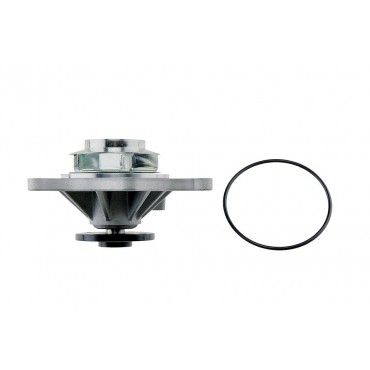 Pompe à Eau Pour Cadillac Srx Sts Xlr 4.6 12595614