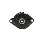Galet Tendeur de courroie d'accessoire BMW SERIE 3 5 7 X3 X5 E53 E83 64557786711