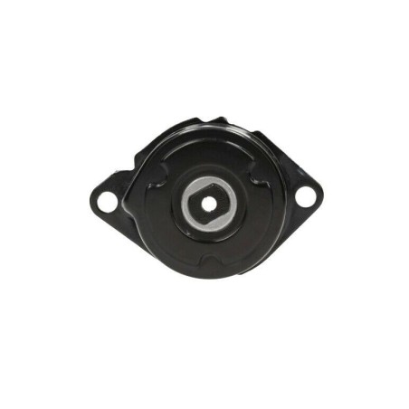 Galet Tendeur de courroie d'accessoire BMW SERIE 3 5 7 X3 X5 E53 E83 64557786711