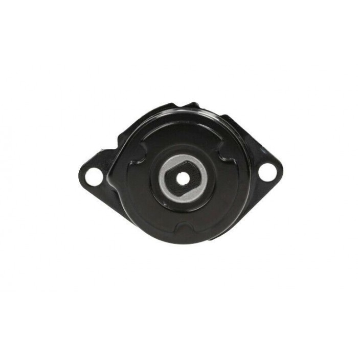 Galet Tendeur de courroie d'accessoire BMW SERIE 3 5 7 X3 X5 E53 E83 64557786711