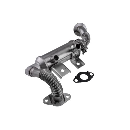 Refroidisseur de Vanne EGR Pour Ford Tourneo Connect Transit Connect 1700025