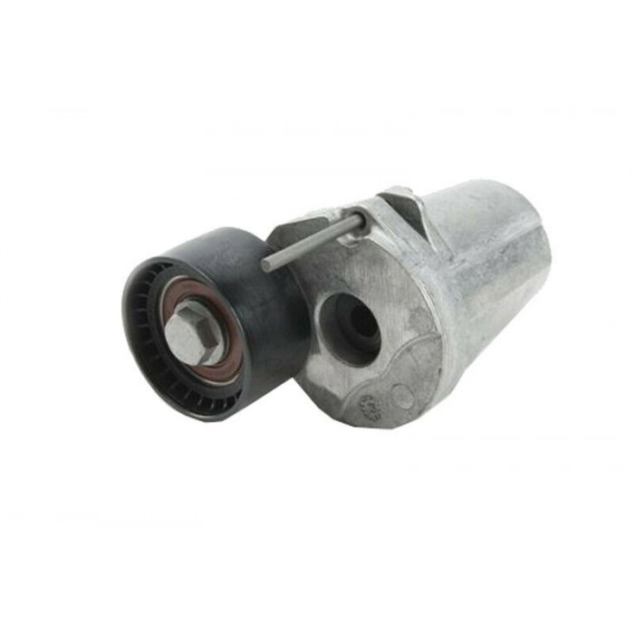 Galet Tendeur de courroie d'accessoire BMW SERIE 5 7 X3 X5 X6 E71 11287800334