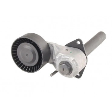 Galet Tendeur de courroie d'accessoire X5 E70 3.0 X6 E71 30dx 35dx 11287799851