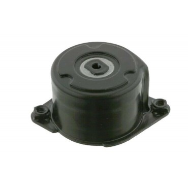 Galet Tendeur de courroie d'accessoire BMW SERIE 3 5 6 7 X3 X5 E53 11287786880