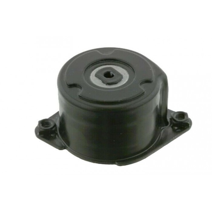 Galet Tendeur de courroie d'accessoire BMW SERIE 3 5 6 7 X3 X5 E53 11287786880