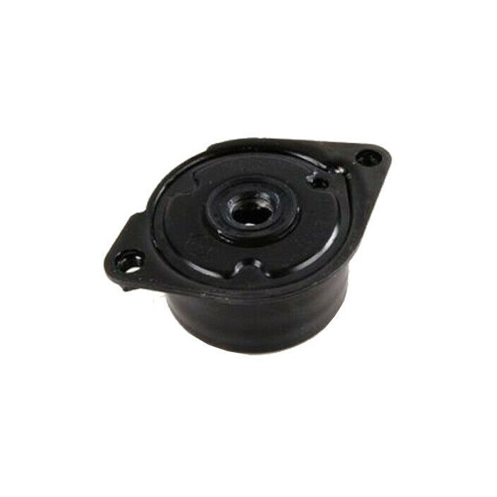 Galet Tendeur de courroie d'accessoire SERIE 3 5 7 X5 11282248484 11282354130