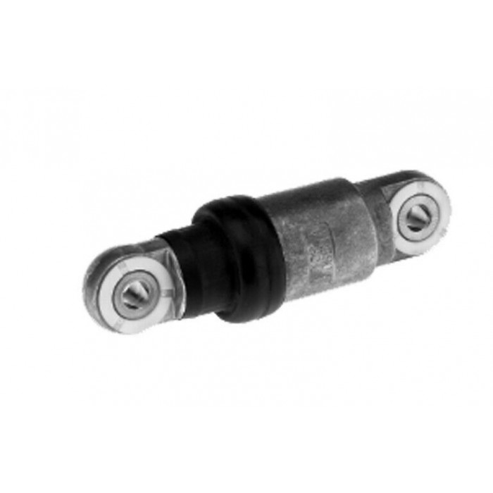 Galet Tendeur de courroie d'accessoire BMW SERIE 3 5 E39 11282247226 11282248169