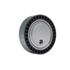 Galet Tendeur de courroie d'accessoire BMW SERIE 3 5 Z3 64552244172 11282245087