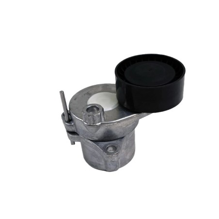 Tendeur Courroie d'Accessoire Pour Mercedes Classe C E Glk M Cls Gle 6512002170