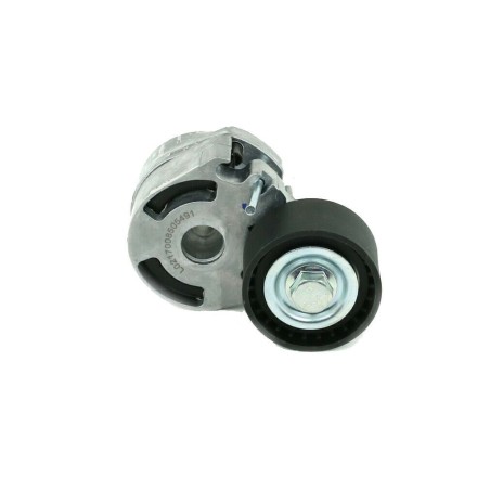 Galet Tendeur de courroie d'accessoire Berlingo C3 C5 Fiesta 2 206 407 575189